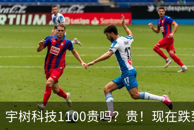 宇树科技1100贵吗？贵！现在跌到477还贵吗？贵！那多少才不贵？